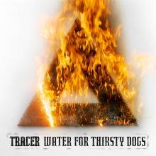 Tracer (AUS) : Water for Thirsty Dogs